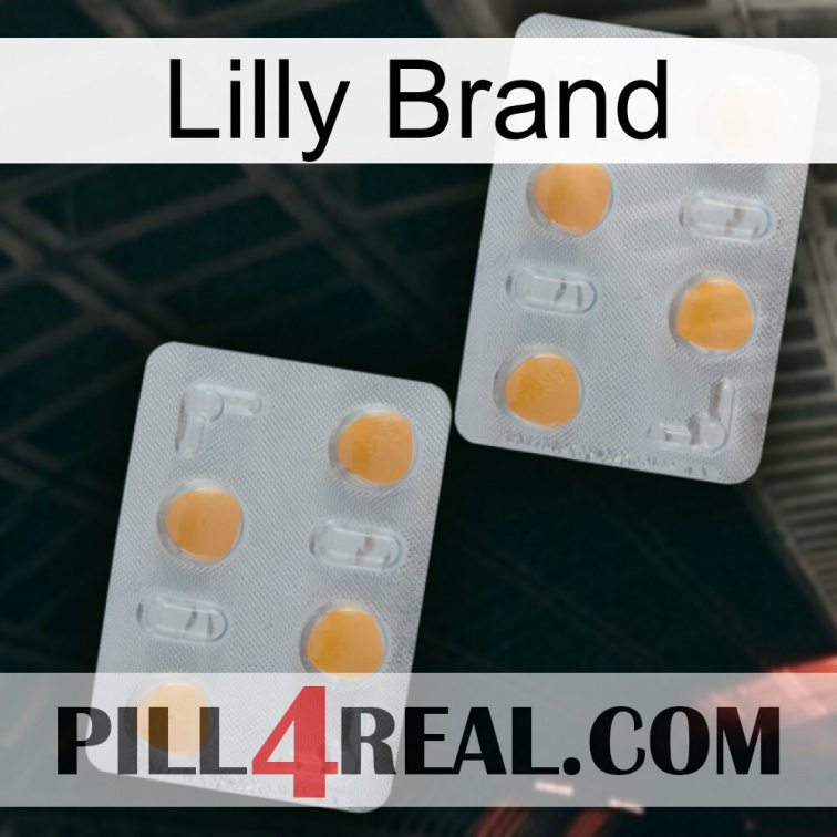 Lilly Brand 25